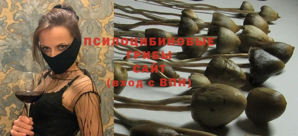 первитин Белокуриха